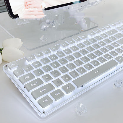 Stilvolle, geräuschlose, kabelgebundene mechanische Tastatur für das Homeoffice 